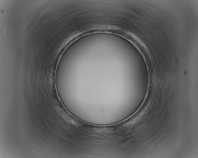 X0000087691025200705040816