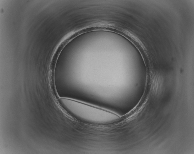 X0000087691029200705040816