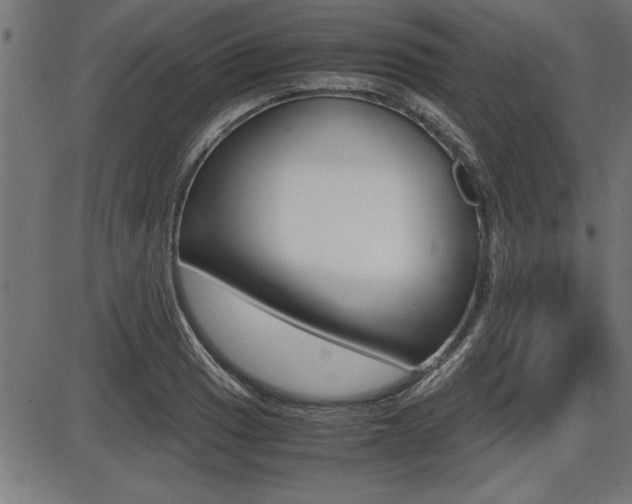 X0000087691033200705040816