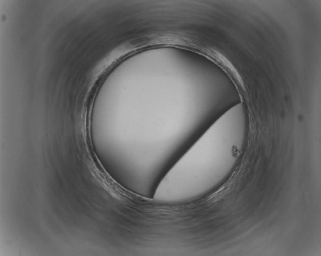 X0000087691035200705040816