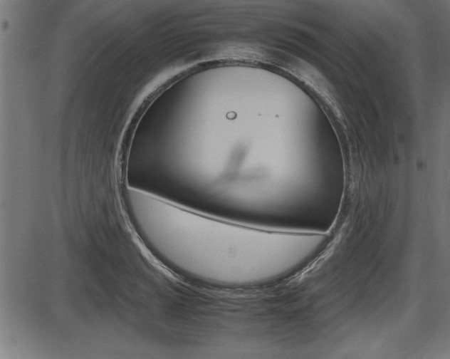 X0000087691037200705040816