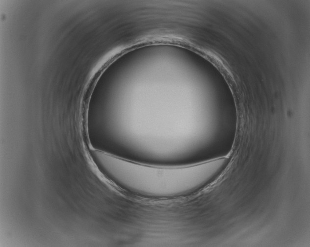 X0000087691038200705040816