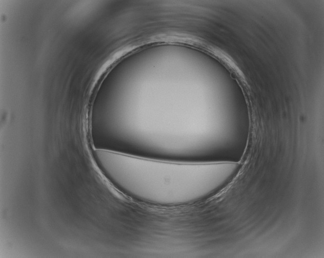X0000087691040200705040816
