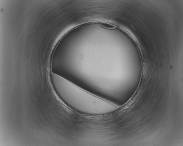 X0000087691048200705040816