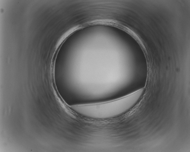 X0000087691050200705040816