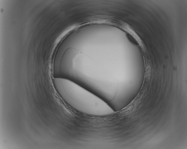 X0000087691051200705040816