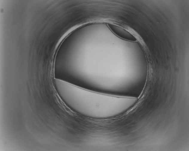X0000087691052200705040816