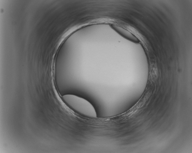 X0000087691055200705040816