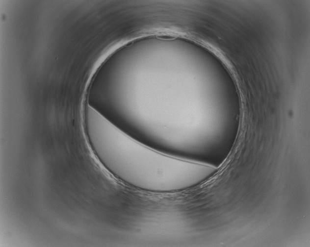 X0000087691056200705040816