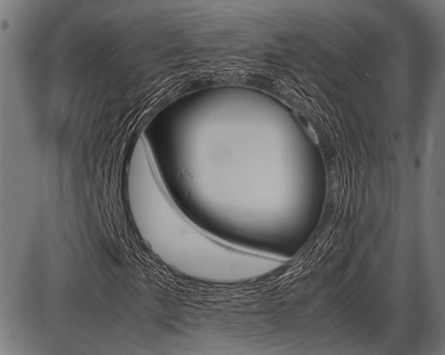 X0000087691057200705040816