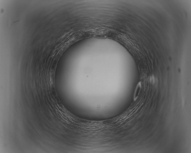 X0000087691058200705040816