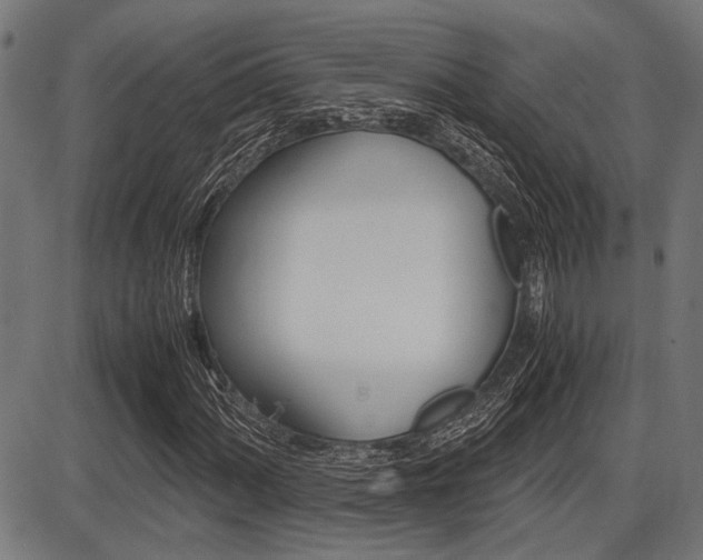 X0000087691060200705040816