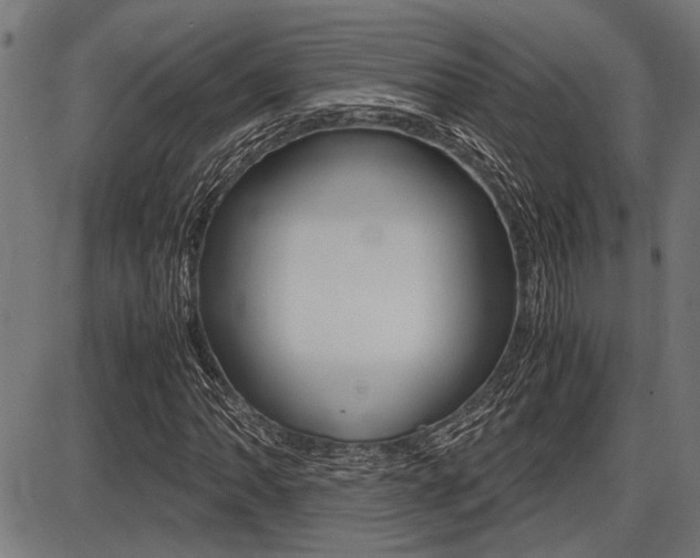 X0000087691062200705040816