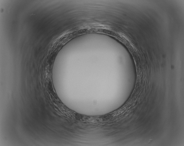X0000087691063200705040816
