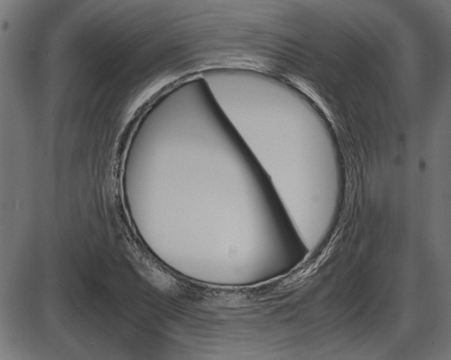 X0000087691071200705040815