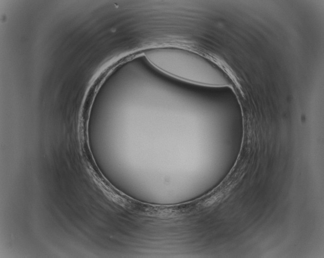 X0000087691072200705040815