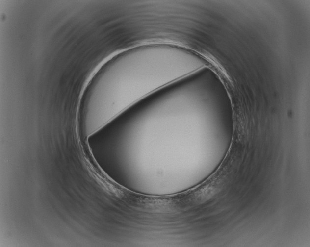 X0000087691076200705040815