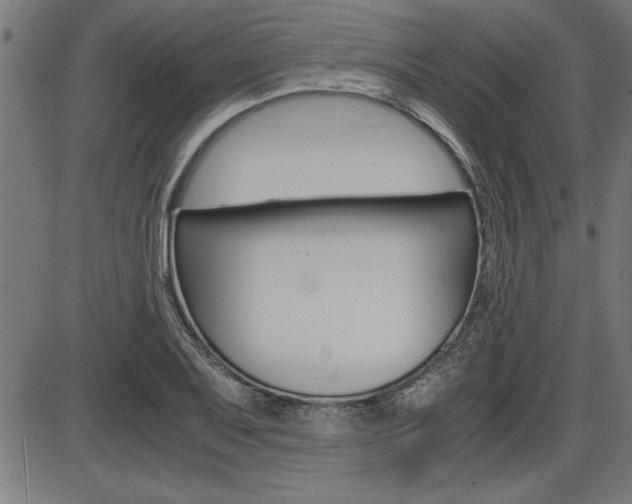 X0000087691079200705040815
