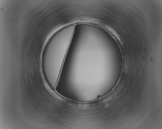 X0000087691080200705040815