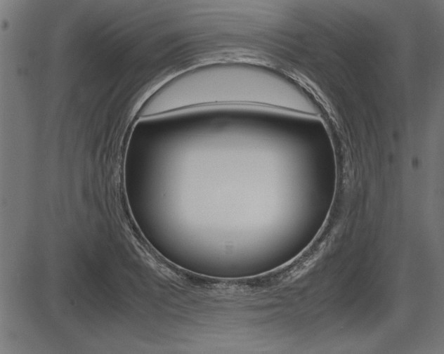 X0000087691081200705040815