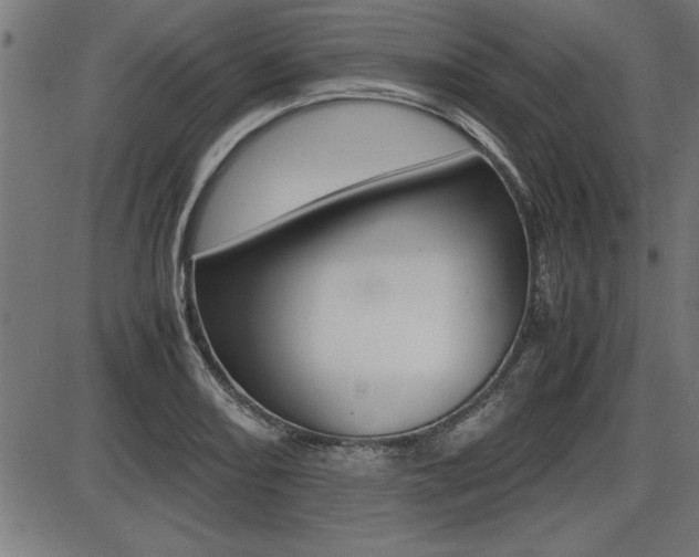 X0000087691082200705040815