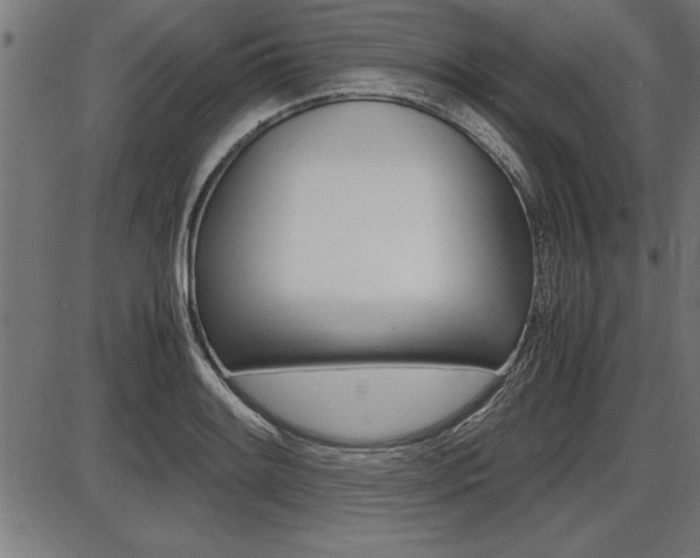 X0000087691084200705040815