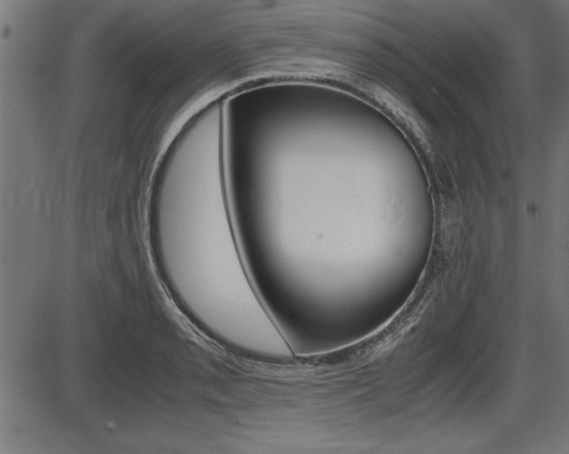 X0000087691085200705040815