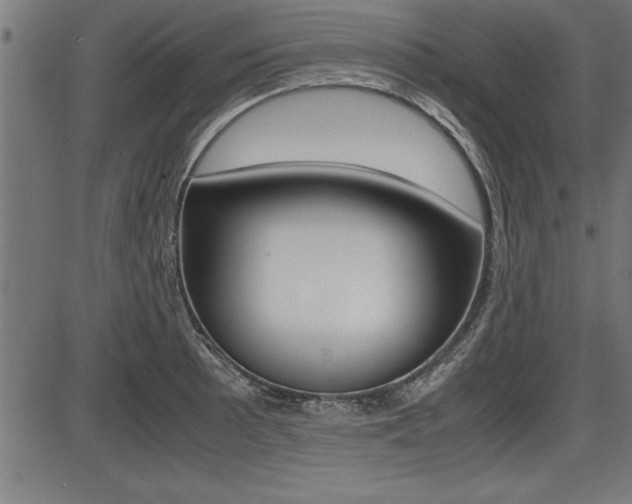 X0000087691089200705040815