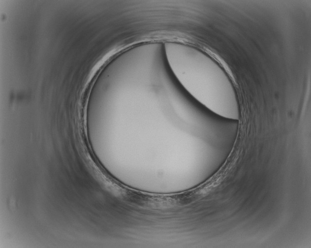 X0000087691091200705040815