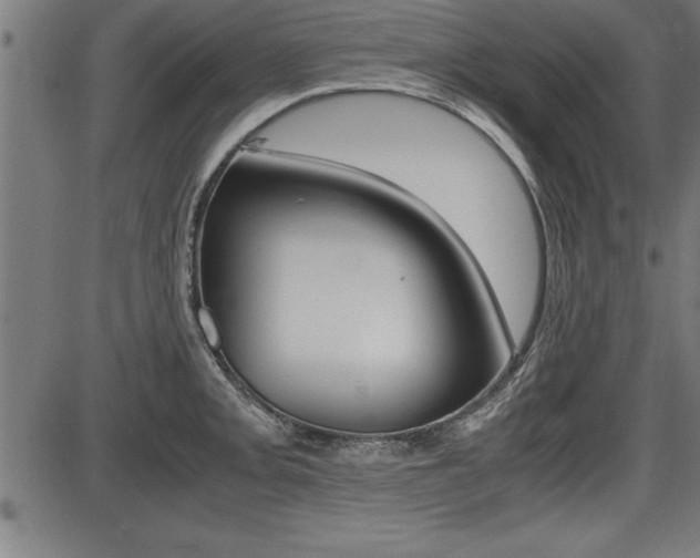 X0000087691093200705040815