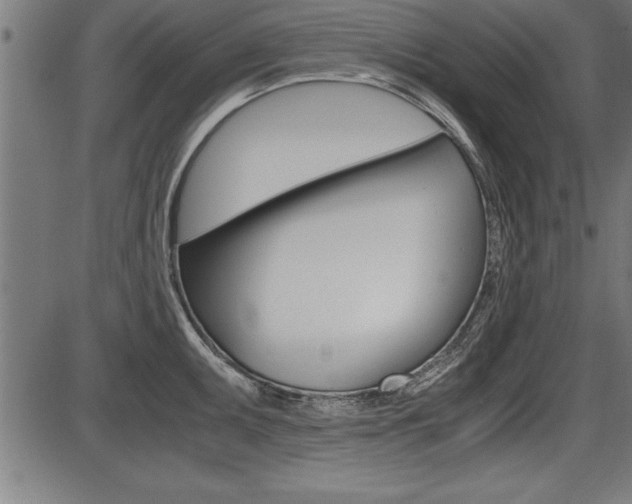 X0000087691095200705040815