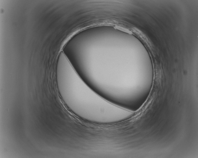 X0000087691097200705040815