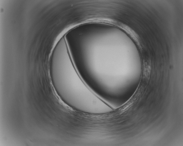 X0000087691102200705040815
