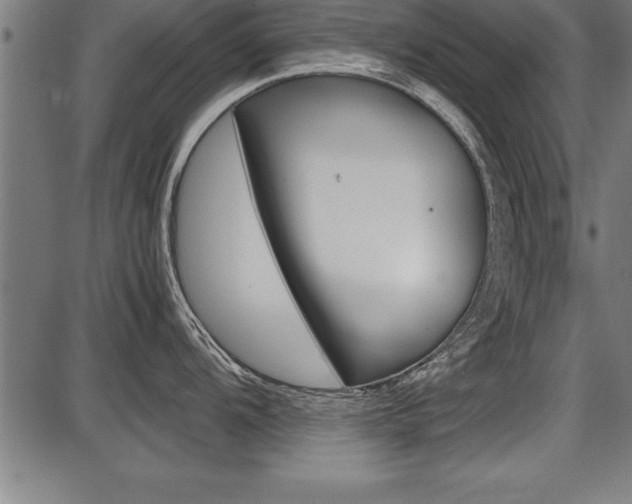 X0000087691104200705040815