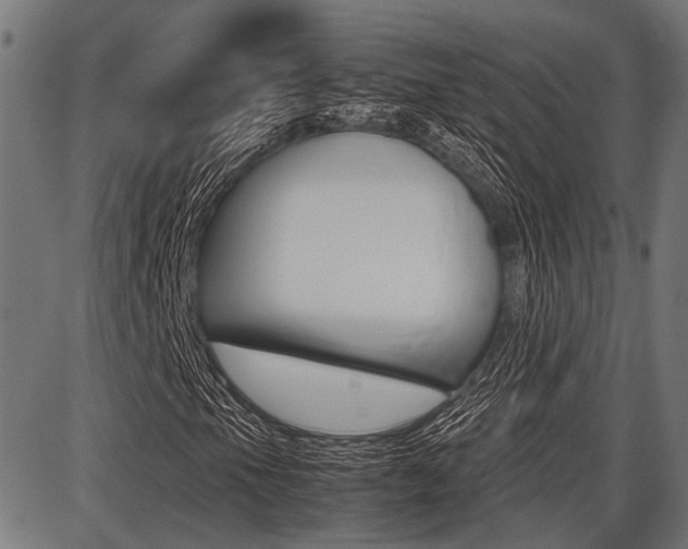 X0000087691105200705040814