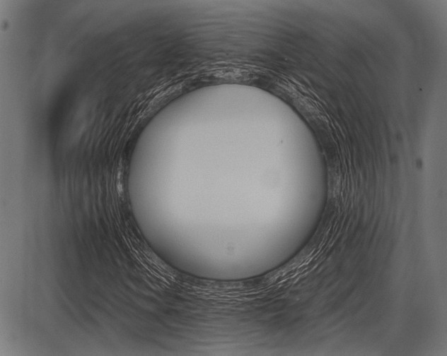 X0000087691106200705040814