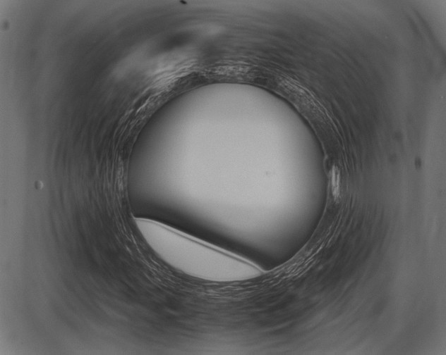 X0000087691107200705040814