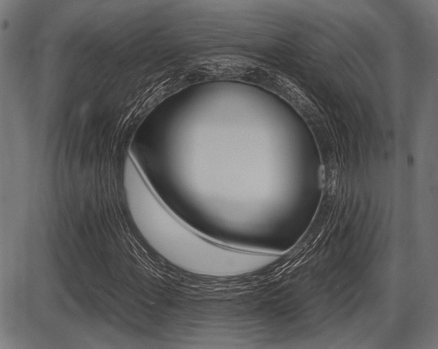 X0000087691108200705040814