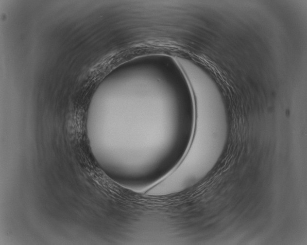 X0000087691110200705040814
