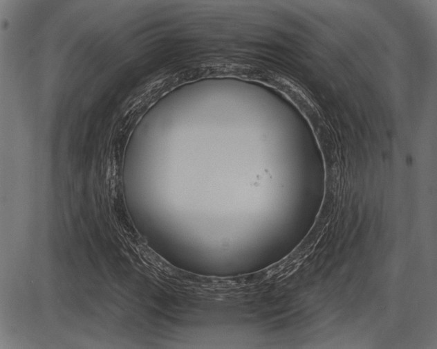 X0000087691111200705040814