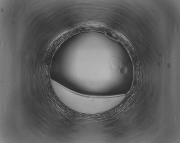 X0000087691112200705040814