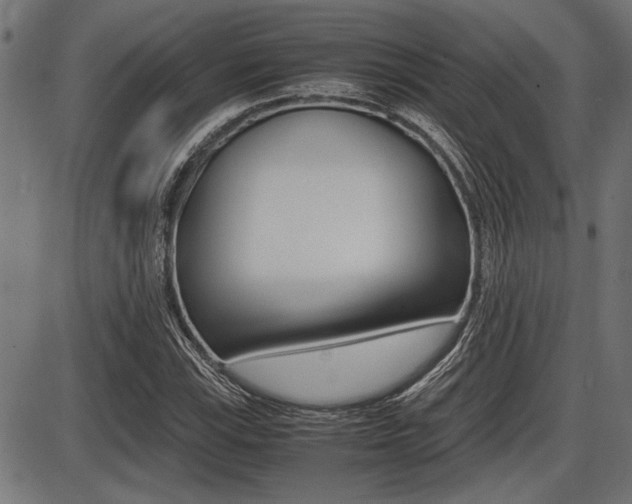 X0000087691115200705040814