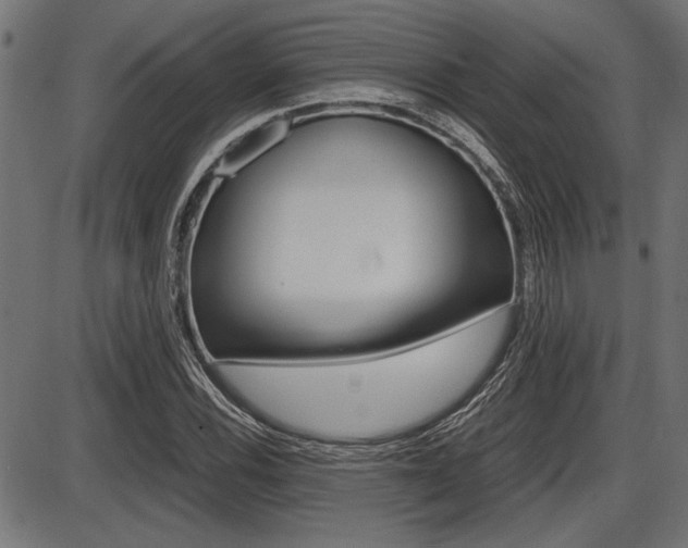 X0000087691116200705040814