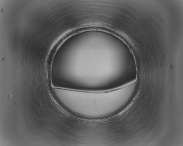 X0000087691118200705040814