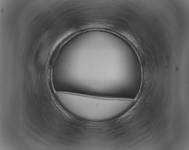 X0000087691119200705040814