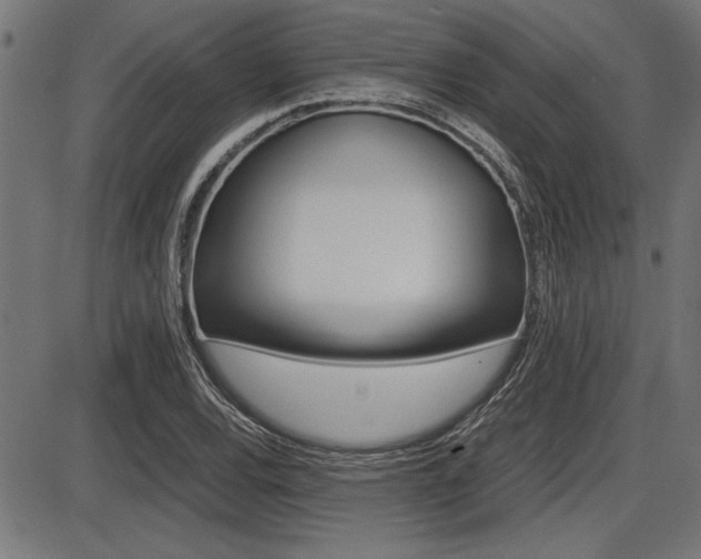 X0000087691120200705040814