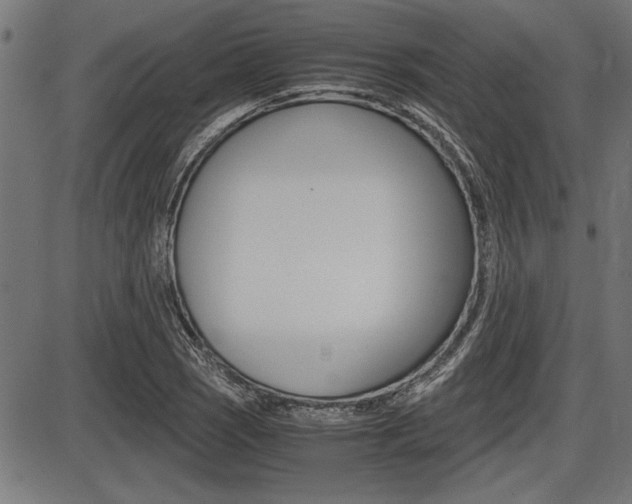 X0000087691121200705040814
