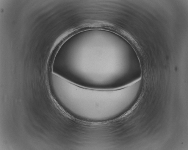 X0000087691122200705040814