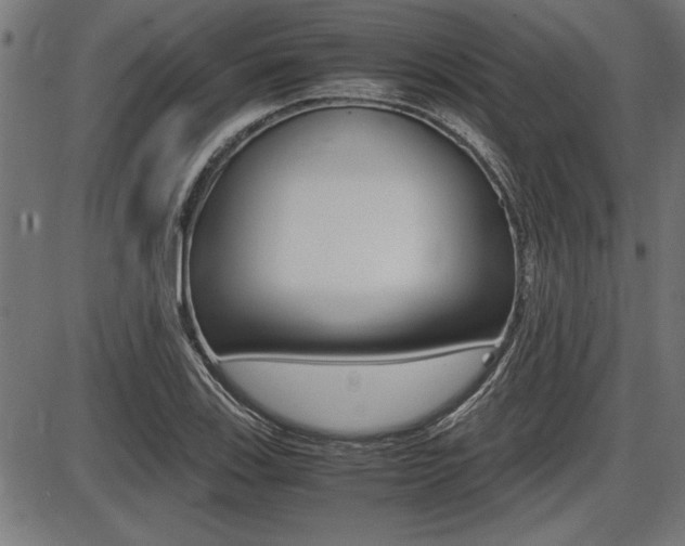 X0000087691123200705040814