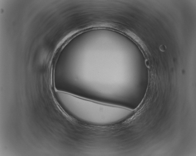 X0000087691127200705040815